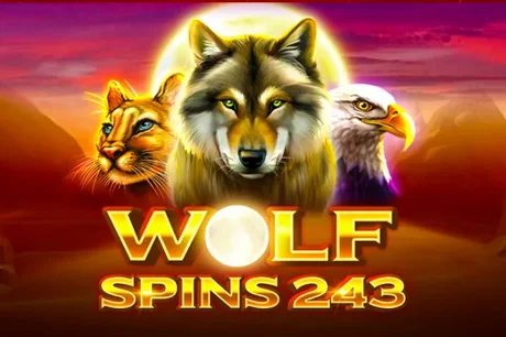 Wolf Spins 243